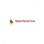 Adams Parrots Farm profile picture