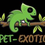 Pet-exotic. com Profile Picture
