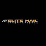 Elite Hail International Profile Picture