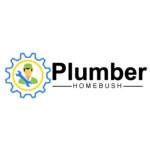 Your Plumber Homebush Profile Picture