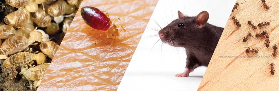 Pest Control Perth Cover Image