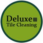 Deluxe Tile and Grout Cleaning Hobart Profile Picture