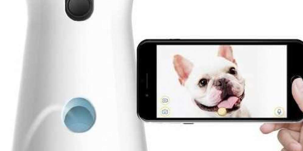Pet Camera Market share, Size, Growth, Demand, Forecast, Types and Outlook 2028.