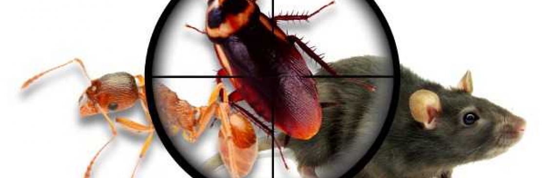 Pest Control Canberra Cover Image