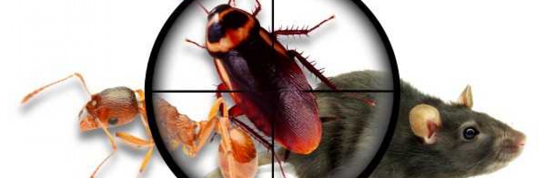Pest Control Mount Waverley Cover Image