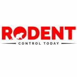 Rodent Control Melbourne Profile Picture