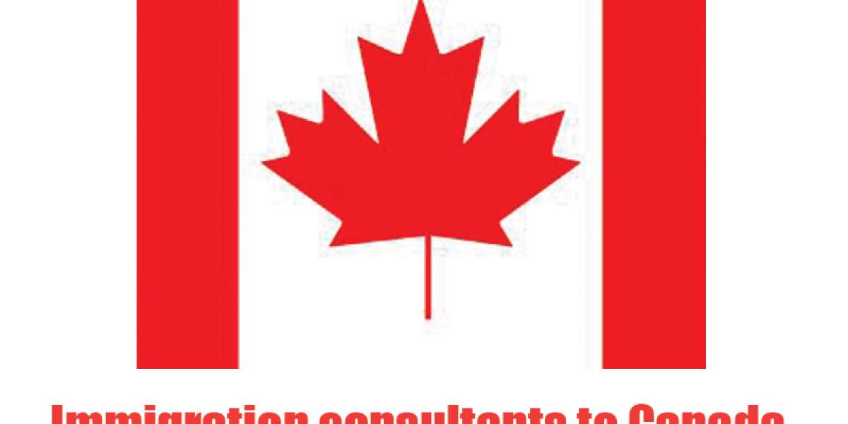 What Are The Reasons To Move To Canada Through Immigration Consultancy?
