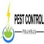 Pest Control Prahran Profile Picture