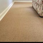 Carpet Cleaning Banksia Beach Profile Picture