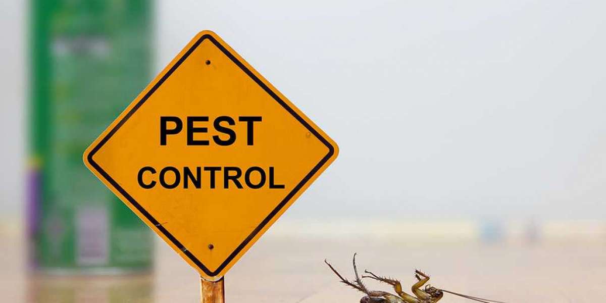 The best Pest control services in Karachi