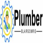 Plumber Blairgowrie profile picture
