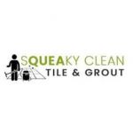 Tile and Grout Cleaning Canberra Profile Picture