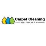 Carpet Cleaning South Yarra Profile Picture
