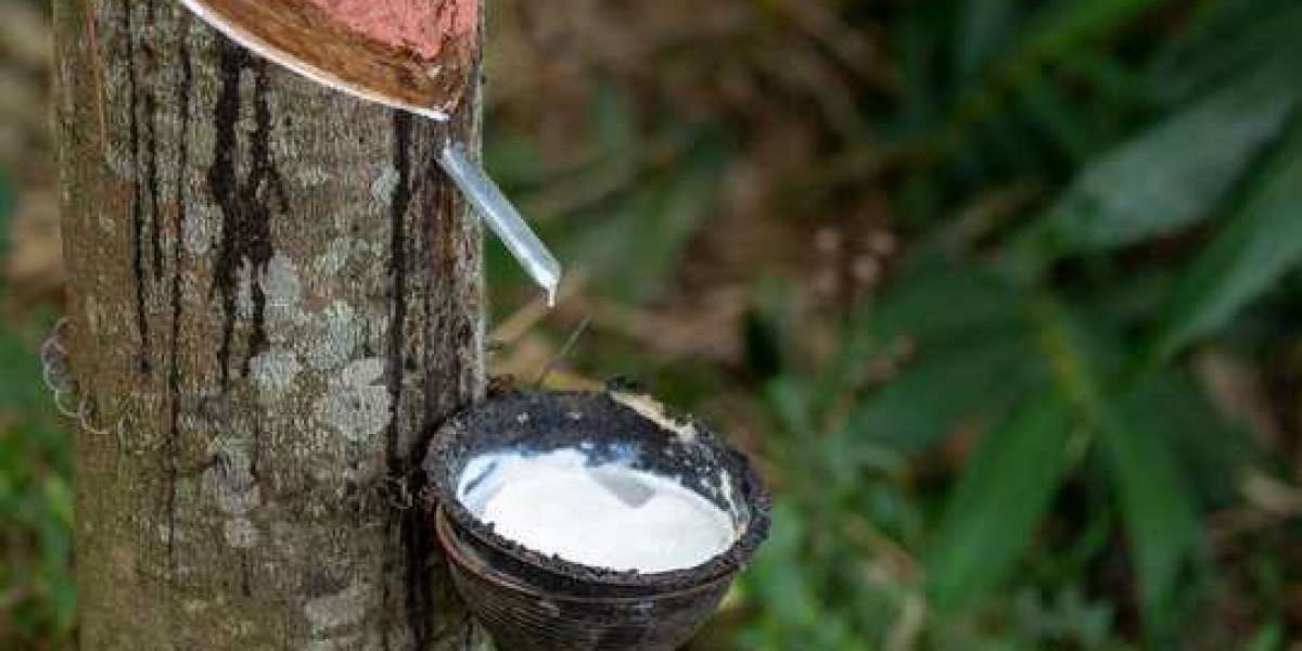 Natural Rubber Market 2021 Current Trends, Business Strategies, Future Investment and Forecast 2028