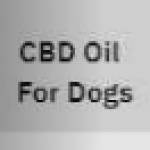 CBD Oil 4 Dogs Profile Picture