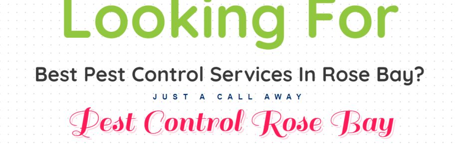Pest Control Rose Bay Cover Image