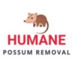 Humane Possum Removal Melbourne Profile Picture