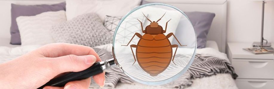 Bed Bugs Control Canberra Cover Image