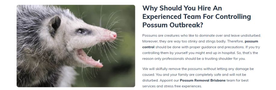 Green Pest Shield - Possum Removal Brisbane Cover Image