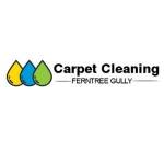 Carpet Cleaning Ferntree Gully Profile Picture