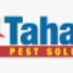 tahaanpestsolutions Profile Picture