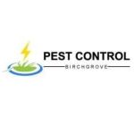 Pest Control Birchgrove Profile Picture