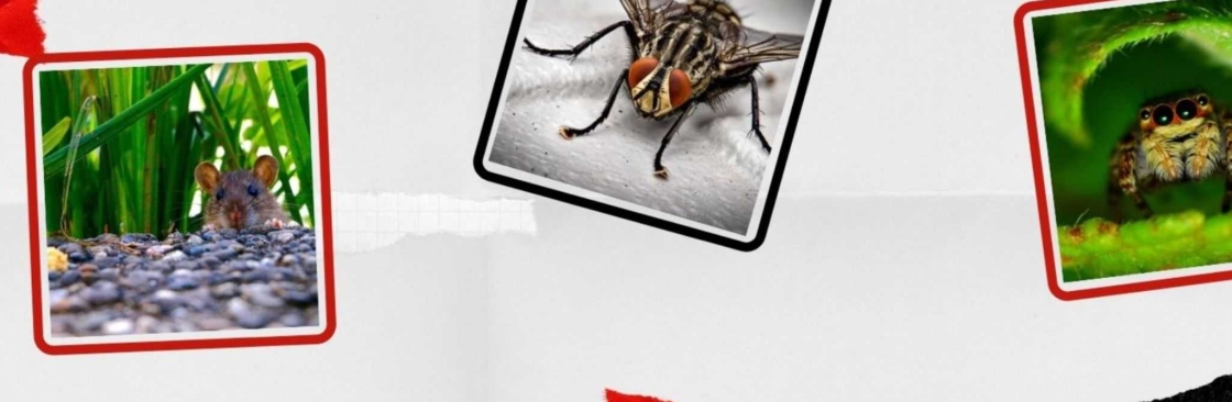 Pest Control Hilton Cover Image