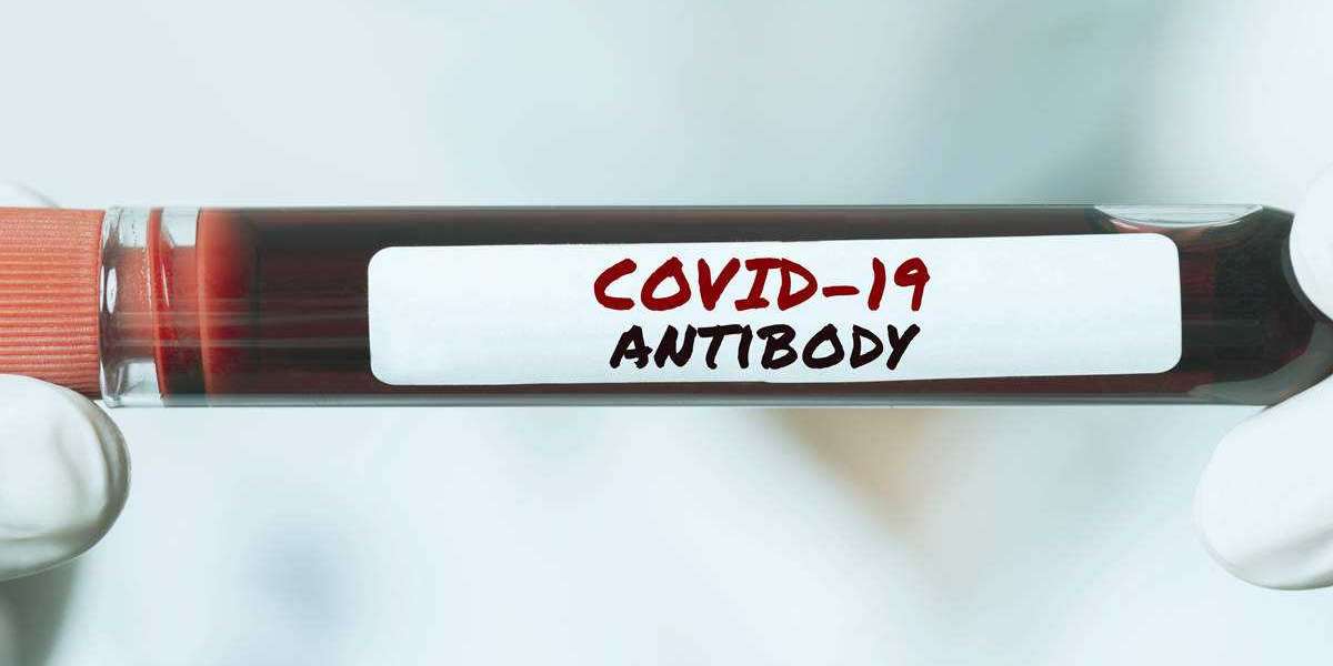 How do antibodies give immunity from covid-19?
