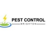 Pest Control Brighton Profile Picture