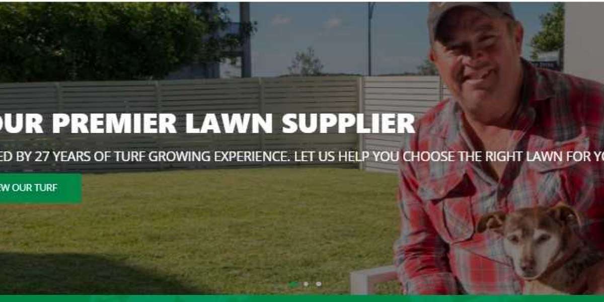 Get the best lawn care service.