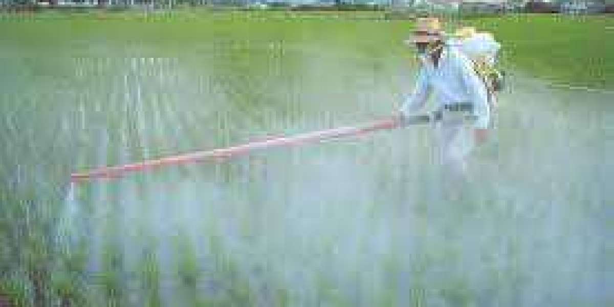 Insecticides Market Size, Revenue Share, Drivers & Trends Analysis, 2026