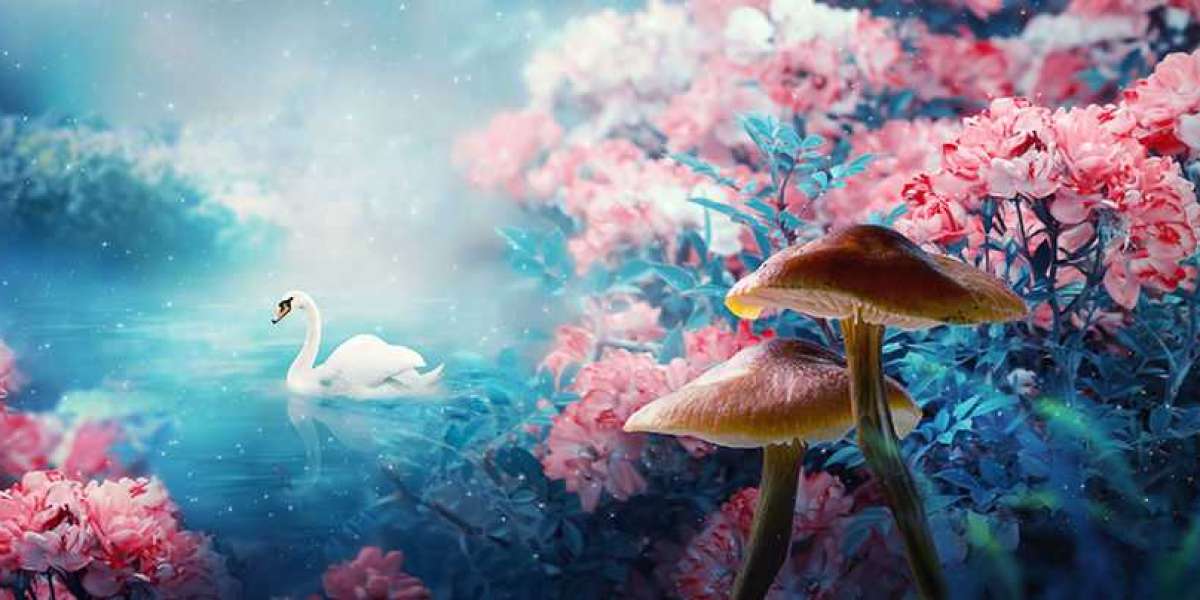 Do Magic Mushrooms Induce A 'Lucid Dream'?