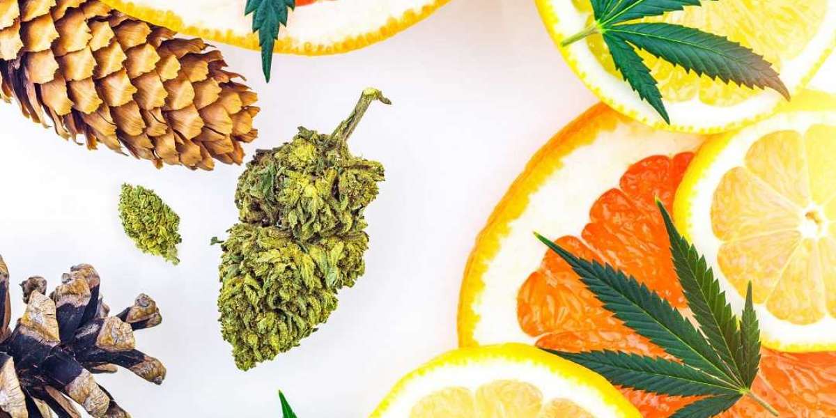 Some Realities About Terpenes Of Cannabis