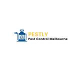 Geelong_pest Profile Picture