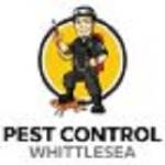 pestcontrolwhittlesea Profile Picture