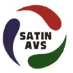 satinavs Profile Picture